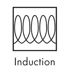 Induction Icon